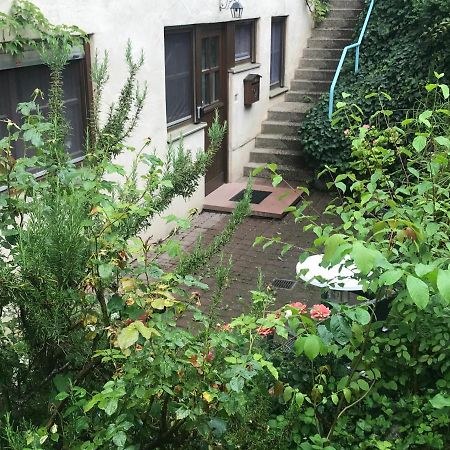 Gartenwohnung Gundelfingen  Eksteriør billede