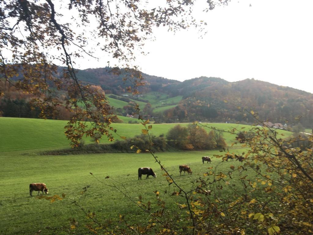 Gartenwohnung Gundelfingen  Eksteriør billede